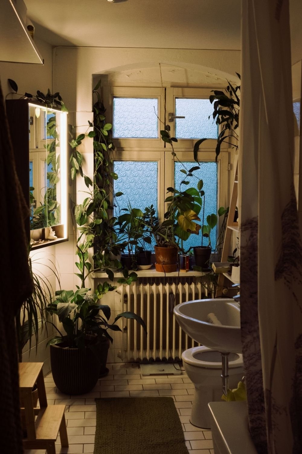 Small bathroom with many houseplants on a frosted windowsill, trailing vines and a backlit mirror cabinet