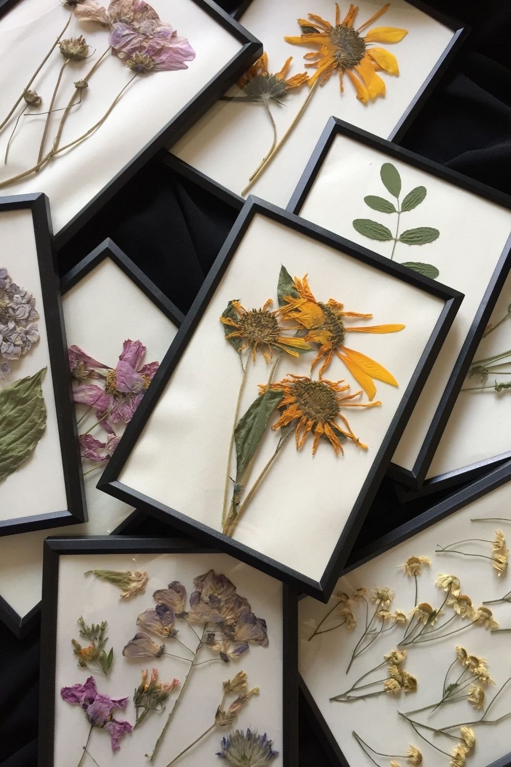 Bring a Little Piece of the Garden Indoors With Pressed Flower Art