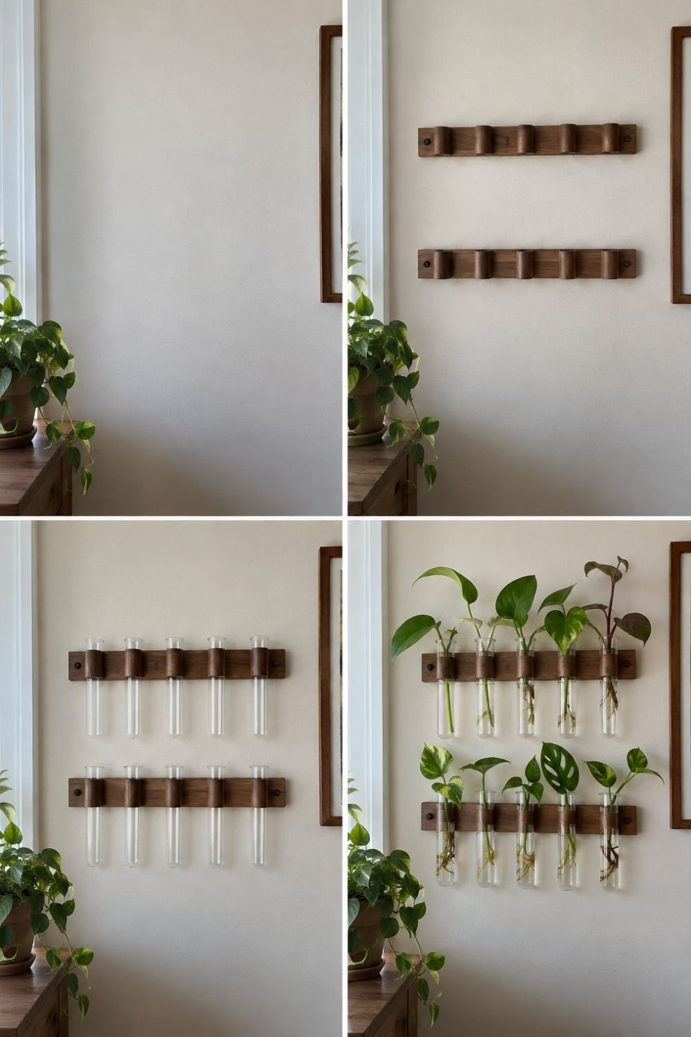 Four steps of mounting two walnut rails with glass test tubes as a wall propagation station
